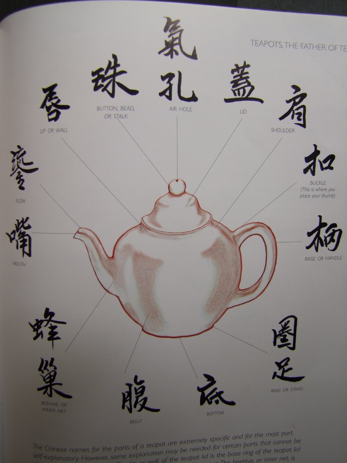 travelling teapot Anatomy of a teapot pt 1