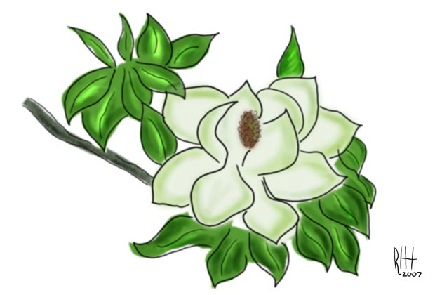 [magnolia.(doc.1).jpg]