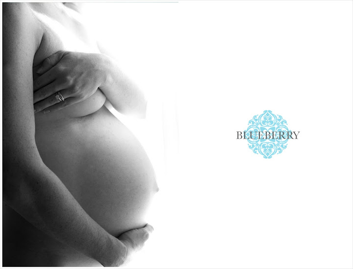 bay area maternity photographer