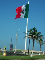 Mi Bandera