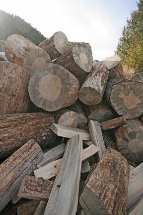 [Firewood-0109.jpg]