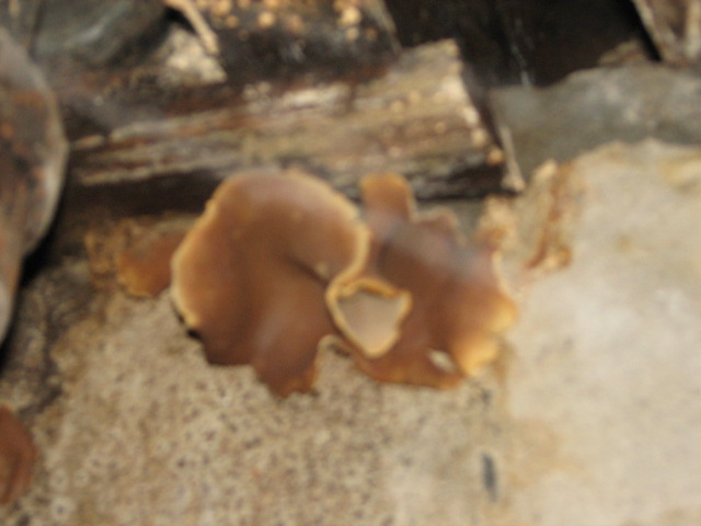 [IMG_8802.JPG]