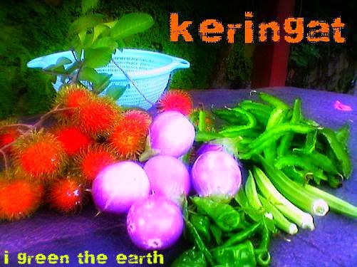 Keringat