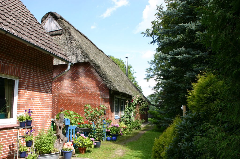 [IMG_7112.JPG]