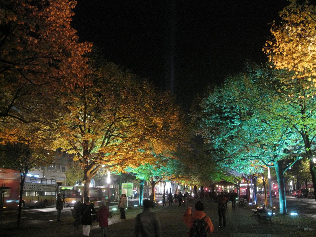 [IMG_0231.JPG]