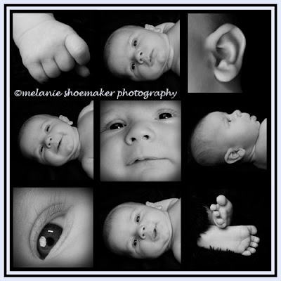 Body Parts Collage