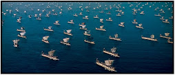 Greek Ships