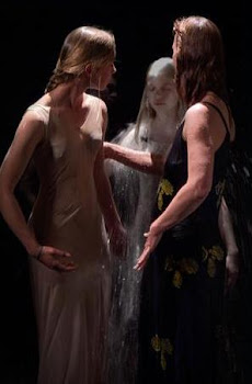 Bill Viola. A través de una cortina de agua