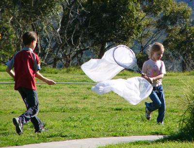 Butterfly+net.jpg