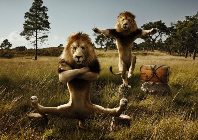 Kung Fu Lion