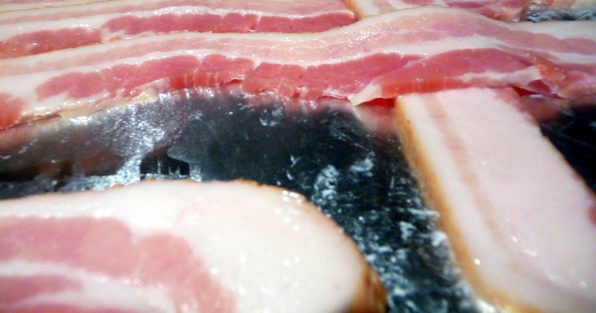 DeepFried Bacon DeepFried Bacon Goes to Florida