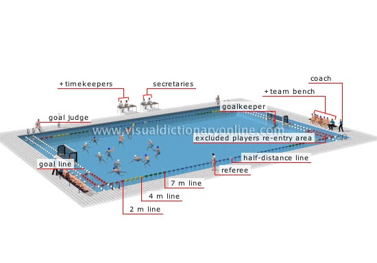 Árbitros de Waterpolo: Waterpolo en inglés polo field diagram 
