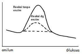 Catatan Prestasi Guru Biologi Soal Latihan Metabolisme