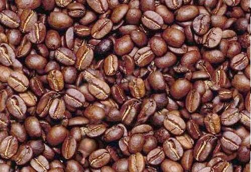 [coffee-beans.JPG]