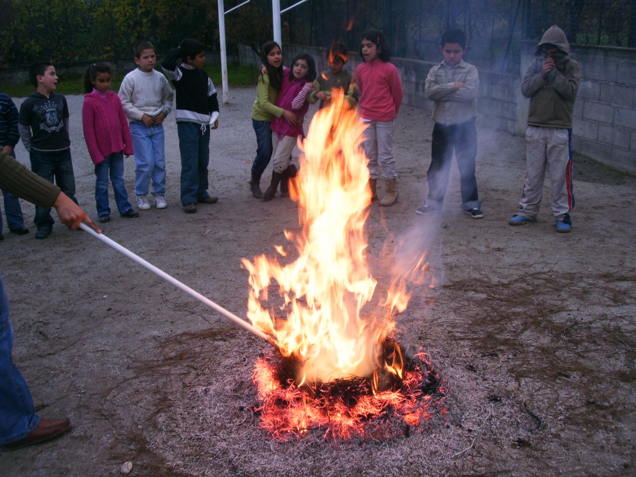 [PICT1079.JPG]