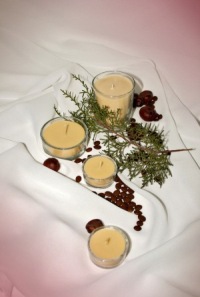 <b>EcoDecoLight</b> Natural Scented Candles