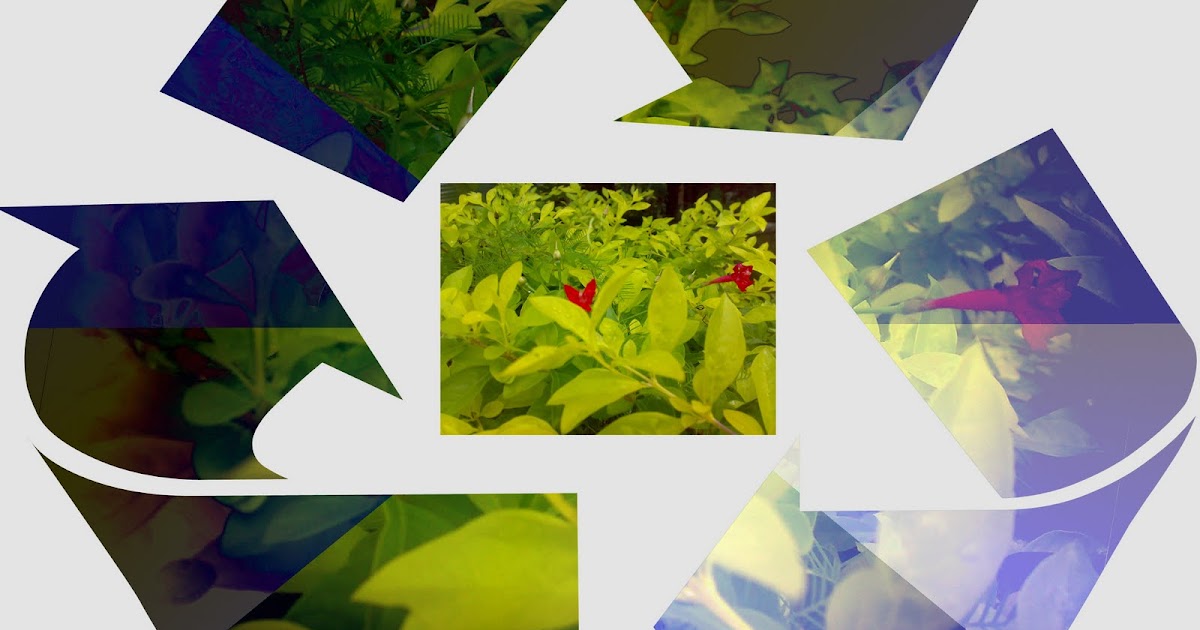 Recylcing our lives....