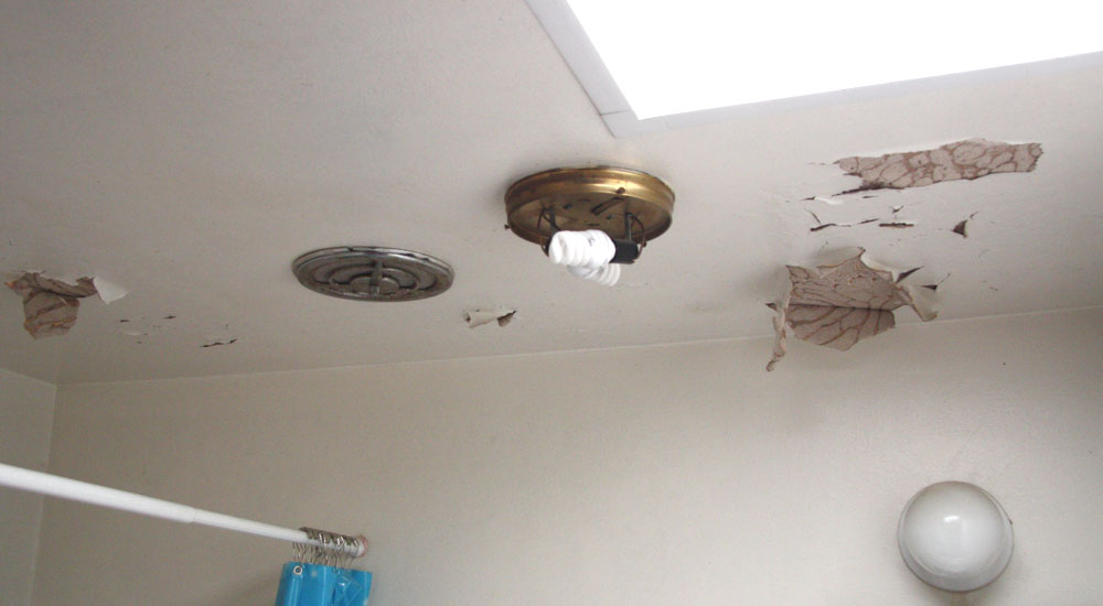 [ceiling4.jpg]
