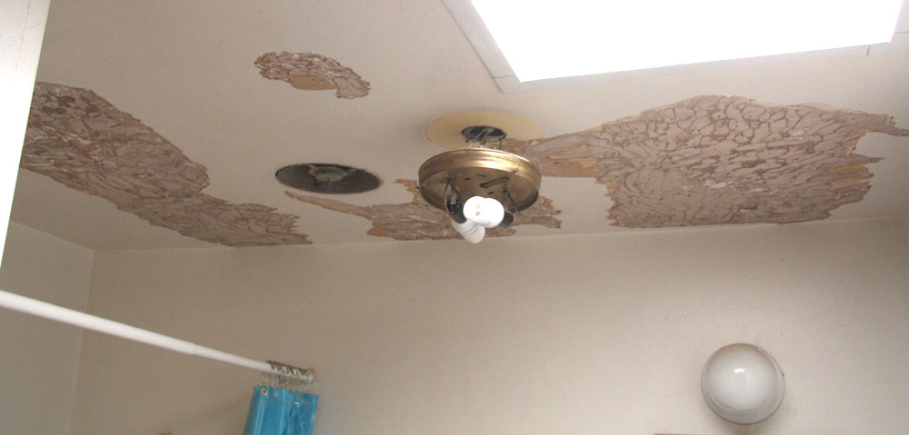 [ceiling5.jpg]
