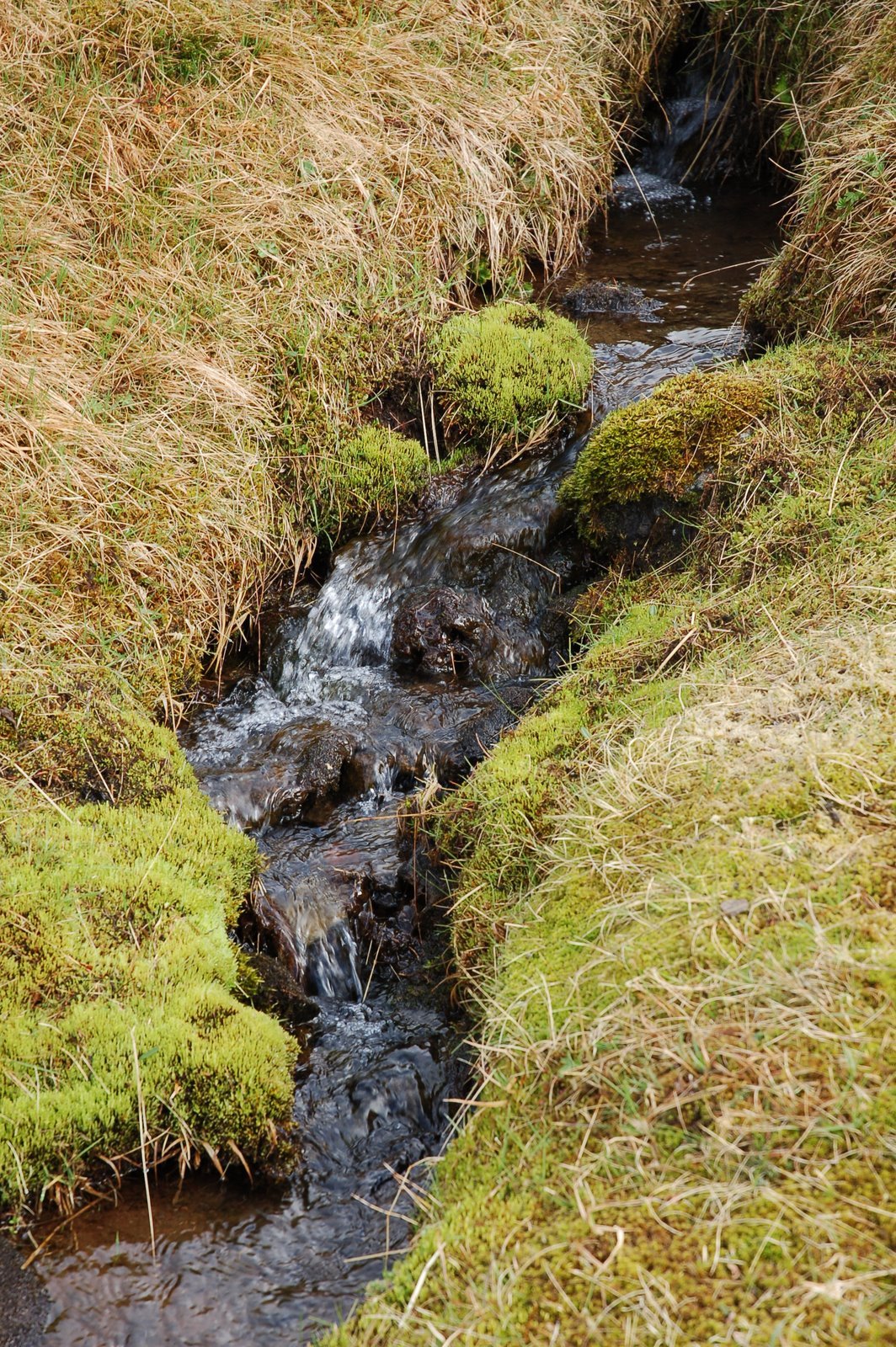 [DSC_8499.JPG]