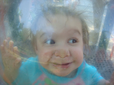 Squashed Against Glass
