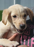 Baby Maya