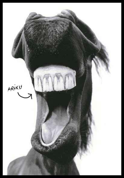 [ariku+smile+often.jpg]