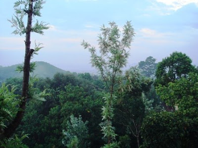 Coorg Virajpet