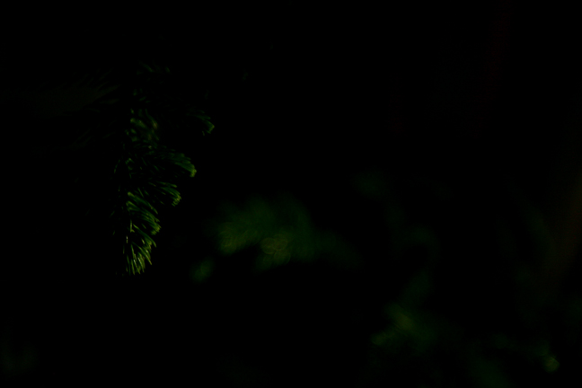 [dayfive.2.lres.jpg]