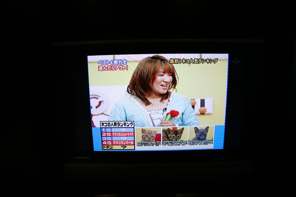 [tokyotv02lres.jpg]