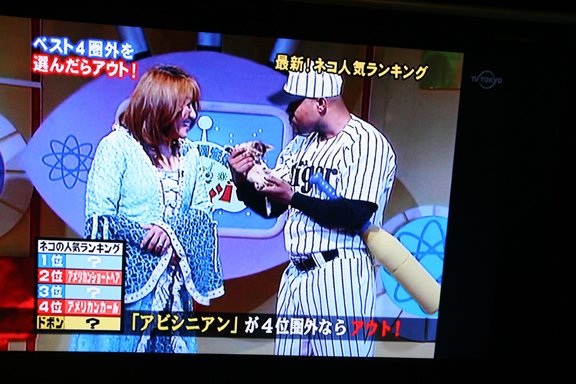 [tokyotv06lres.jpg]
