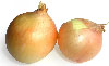 [image012.jpg]