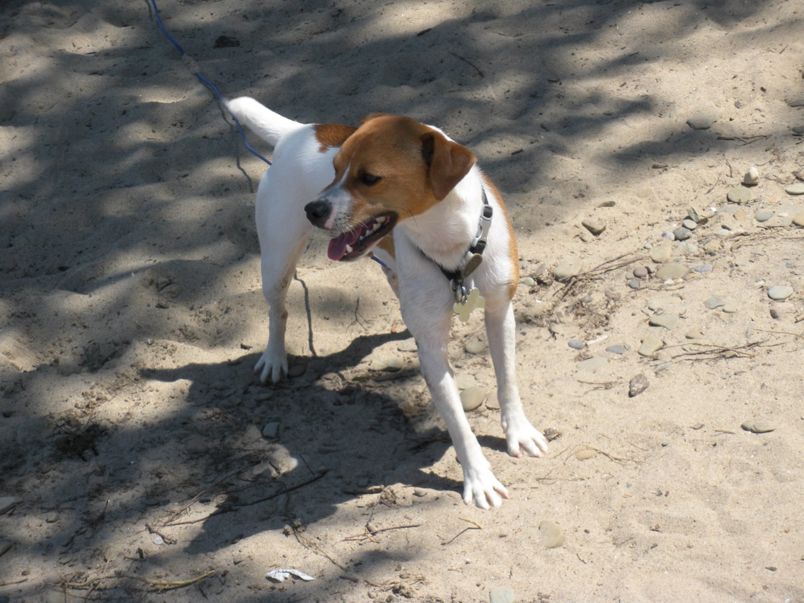 [2009+Summer+Vacation+and+Cosmo+007.jpg]