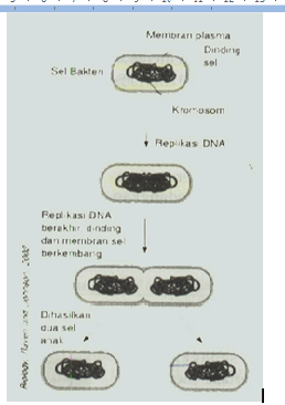Buku Paket Biologi Kelas Xii Pdf