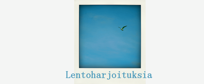 Lentoharjoituksia