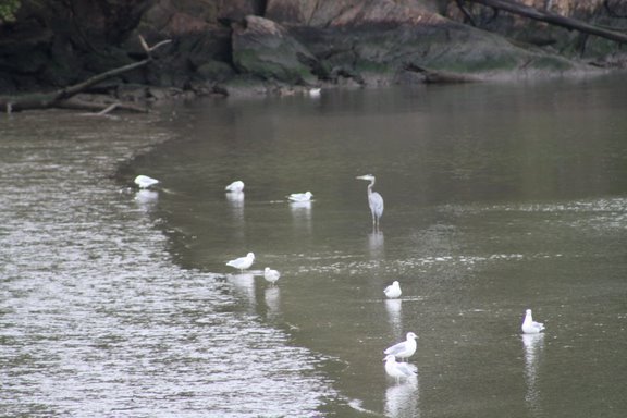 [IMG_0432.JPG]
