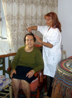 EL SERVICIO DE AYUDA A DOMICILIO el servicio de ayuda a domicilio: