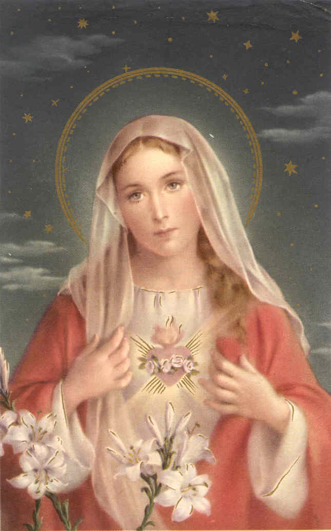 [Immaculate+Heart+of+Mary.jpg]
