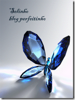 [BlogPerfeitinho_migui.png]