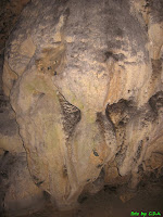 Pestera Muierii - Women's Cave