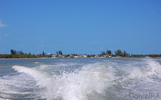 [Holbox08-059bl.jpg]