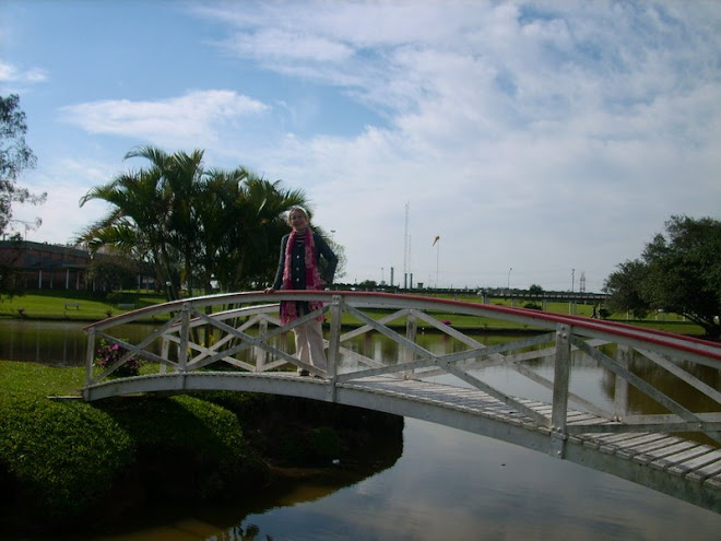 No Lago da ULBRA