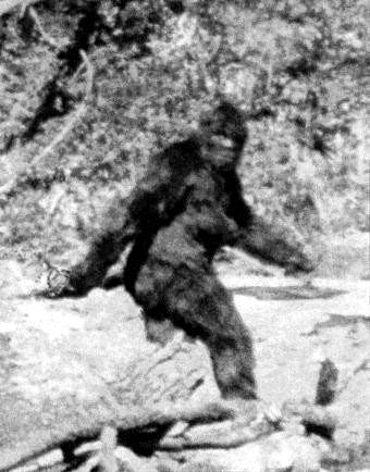 [sasquatch01.jpg]