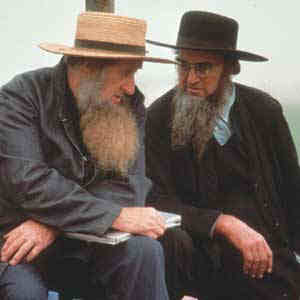 Amish.jpg