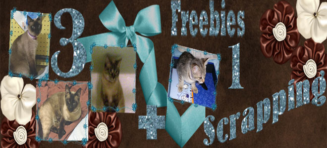 3+1 Scrapping Freebie Page