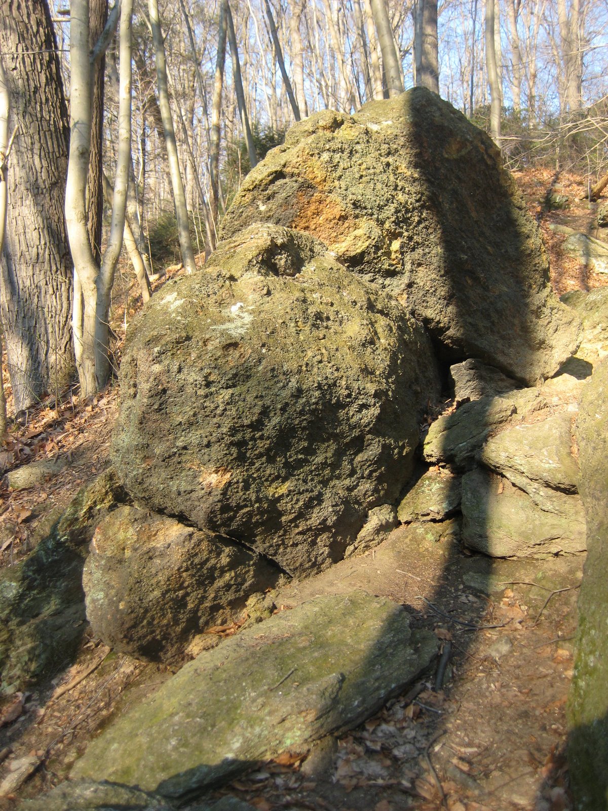 [IMG_3974.JPG]