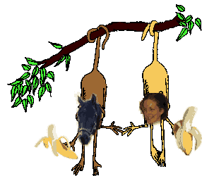 [monkeys2.gif]
