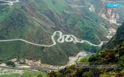 Crazy Roads