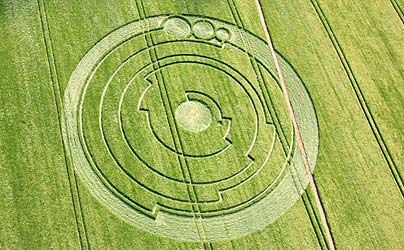 Fenomena Crop Circle Lingkar Tanaman Pola Unik