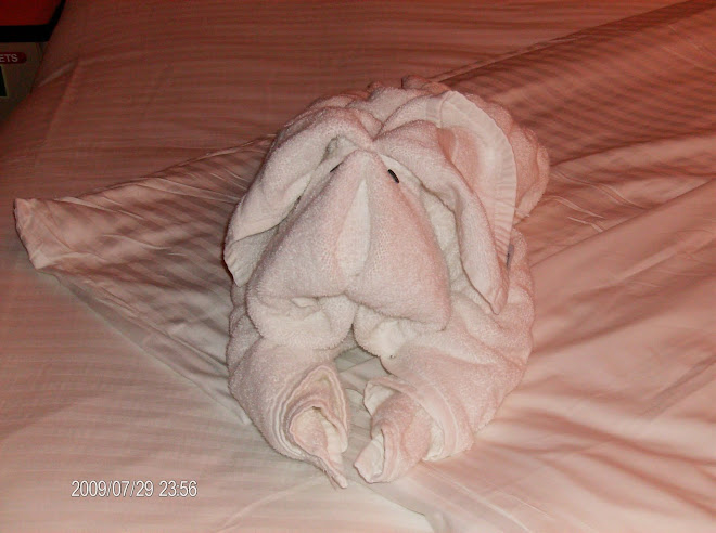 Towel folded into a dog